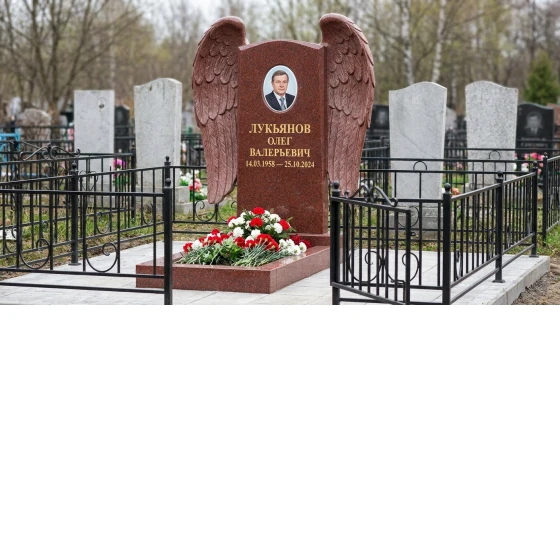 Памятник с парящими крыльями из лезниковского гранита