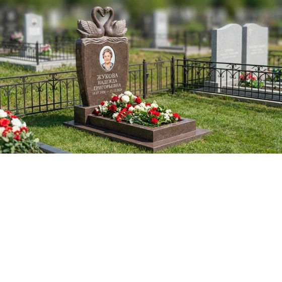 памятник с лебедем из коричневого гранита Дымовский с портретом