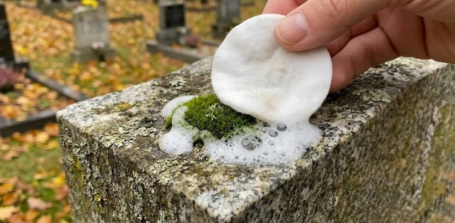 ochistka-pamyatnika-ot-mha